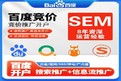 网络推广中的竞价广告：成功案例解析